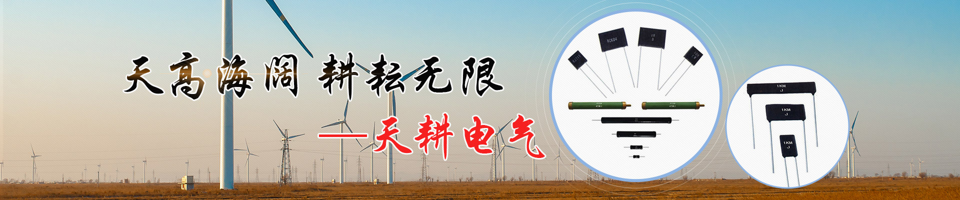 濟(jì)寧市華楊盛世電子科技有限公司